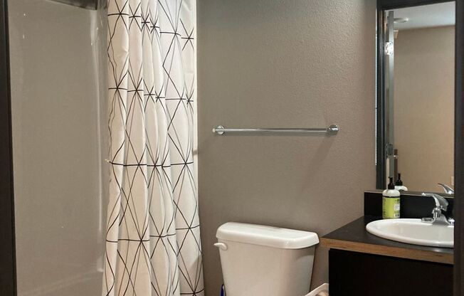 Studio, 1 bath, 258 sqft, $1,250, Unit 402