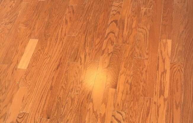 2 beds, 1 bath, $1,795, Unit 411C