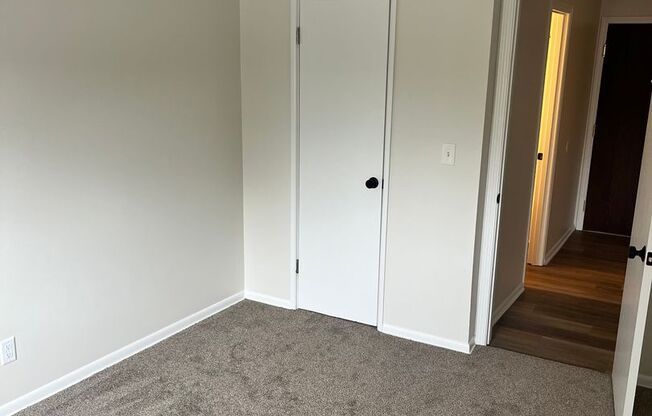 1 bed, 1 bath, 600 sqft, $1,100