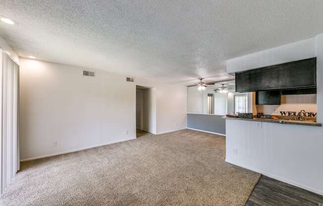 the living room and kitchen of an apartment with carpeting and a kitchen counter top