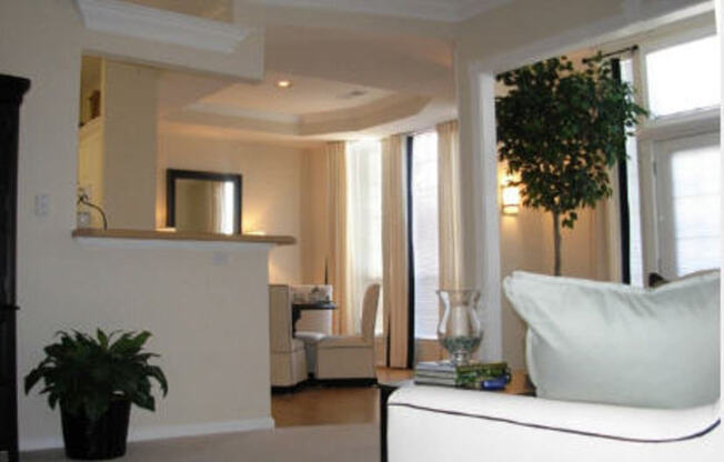 1 bed, 1 bath, 903 sqft, $1,885