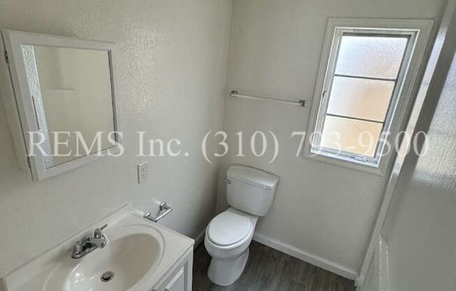 Studio, 1 bath, 342 sqft, $1,475