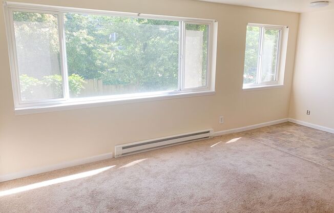 1 bed, 1 bath, 475 sqft, $1,395, Unit 203