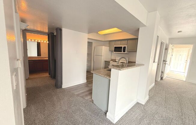 SPACIOUS 3BED/2BATH CONDO ON THE FIRST FLOOR!