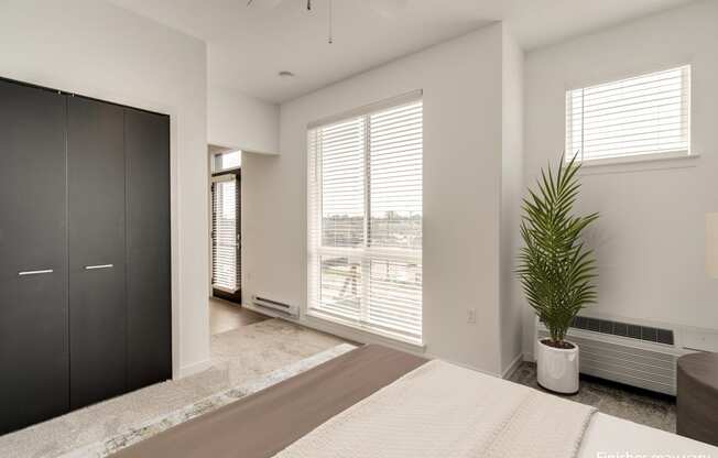 a bedroom with a large window and a large potted plant