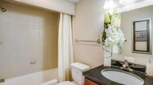 a bathroom with a sink and a toilet and a bath tub