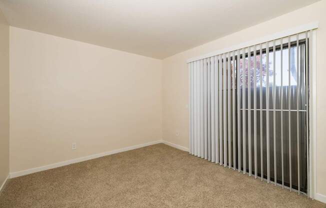 A room with a carpeted floor and a window with vertical blinds.