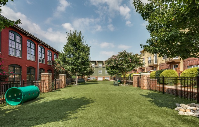 View of Dog Park, Showing Grass, Agility Course, and Fenced-In Area at Alpha Mill Apartments