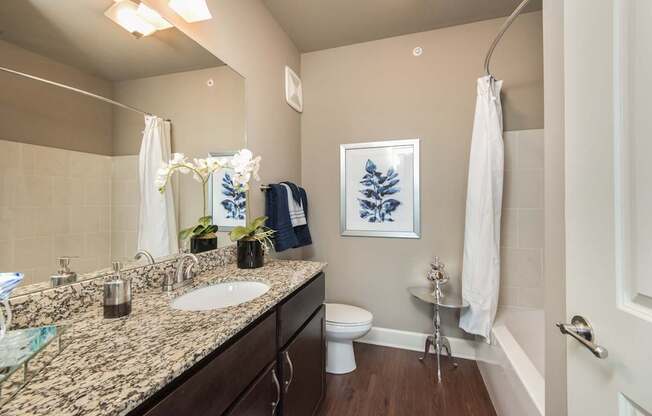 A bathroom with a sink, toilet, and a shower.