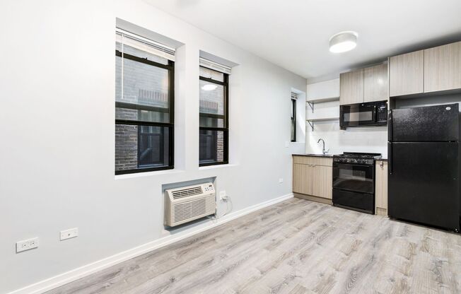 Studio, 1 bath, 242 sqft, $1,450, Unit 214