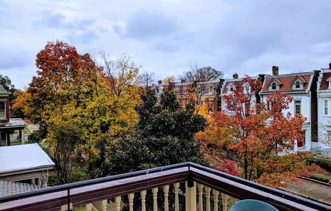 1 bed, 1 bath, $1,150, Unit Apt. 11
