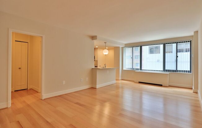 Studio, 1 bath, 440 sqft, $2,300, Unit 0215