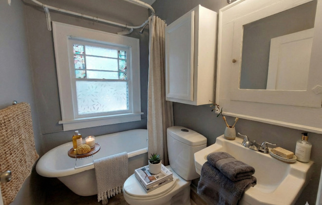 Charming 1 Bedroom/1 Bathroom - Downtown Lakeland Apartment