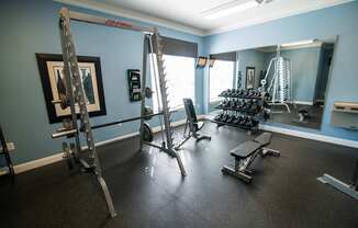 A gym with a blue wall and a variety of equipment.