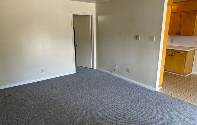 1 bed, 1 bath, 700 sqft, $475, Unit 9