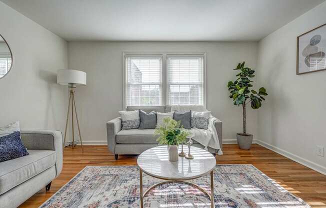 A living room with a grey couch, a white coffee table, and a rug.