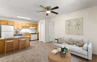 One Bedroom Living Room at Shorebird Apartments in Mesa Arizona