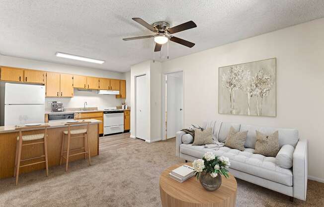 One Bedroom Living Room at Shorebird Apartments in Mesa Arizona