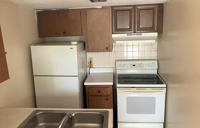 Spacious Remodeled 1BR/1BA Apartment with Beautiful New LVT Flooring