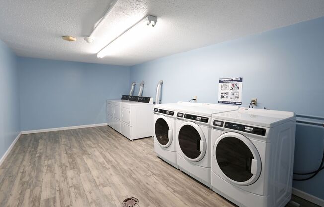 1 bed, 1 bath, 450 sqft, $800, Unit 11-04