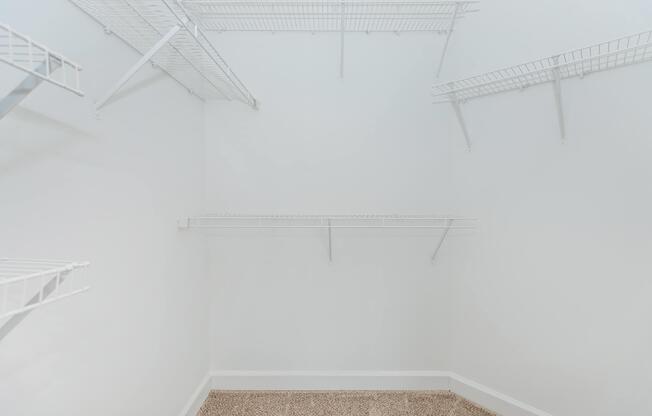 Empty walk-in closet with white walls and wire shelving. The floor is covered in beige carpet. There are several shelves mounted on the walls, creating an open and spacious storage area.