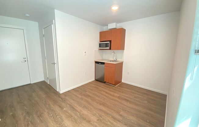 Studio, 1 bath, 175 sqft, $1,150, Unit 4215
