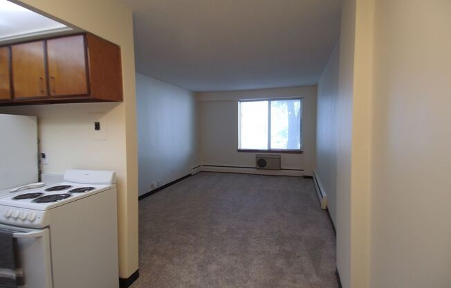 1 bed, 1 bath, 620 sqft, $1,050, Unit 110