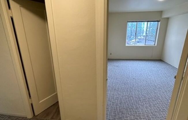 1 bed, 1 bath, 548 sqft, $1,249, Unit 304A