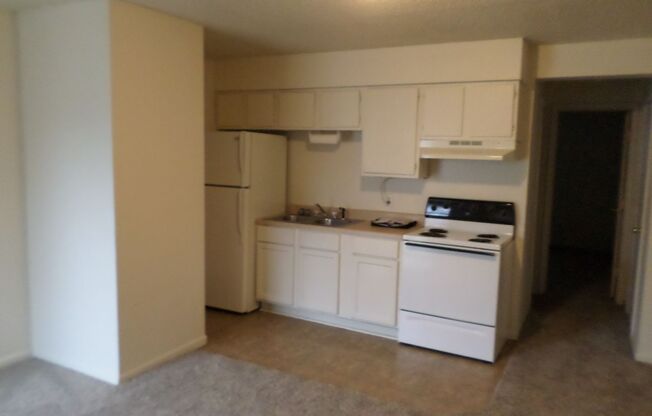 1 bed, 1 bath, $550, Unit Eleventh 728 W. #F