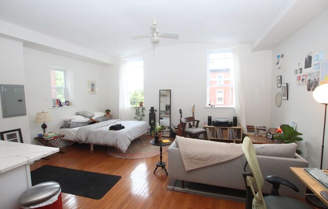 Fully renovated studio available in Northern Libertie