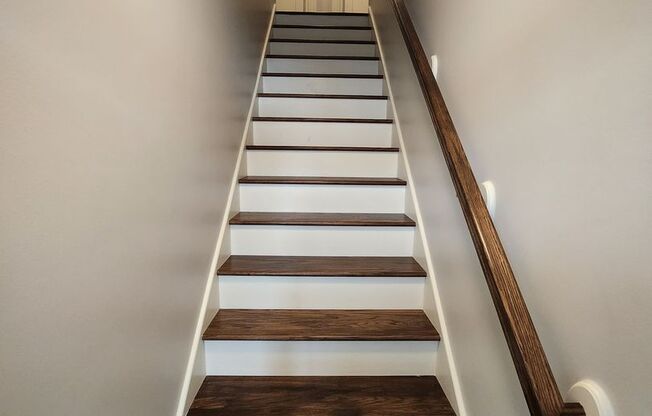 Newly Renovated One Bedroom Available