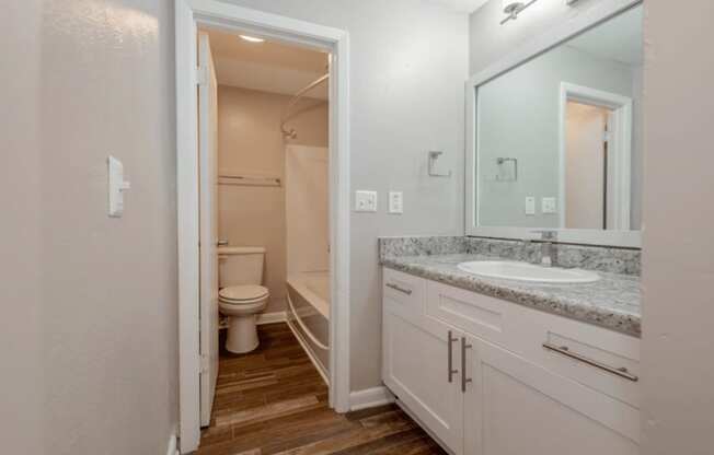 A bathroom with a toilet, sink, and mirror.