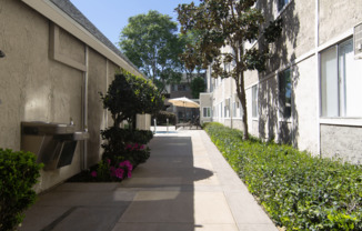 A long concrete walkway between two buildings with green plants on the side.