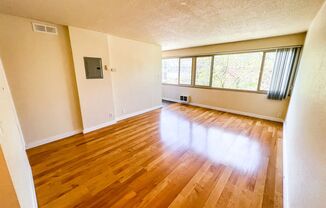 1 bed, 1 bath, 540 sqft, $1,645, Unit 203