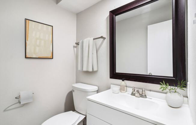 a bathroom with a mirror and a toilet and a sink