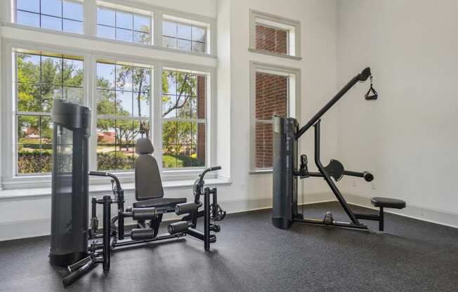 carrollton texas apartments for rent
