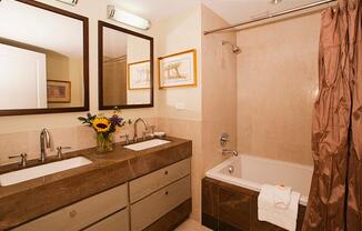 1 bed, 2.5 baths, 830 sqft, $9,250, Unit 1717