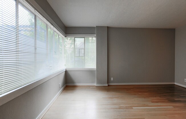 1 bed, 1 bath, 550 sqft, $1,350, Unit 206