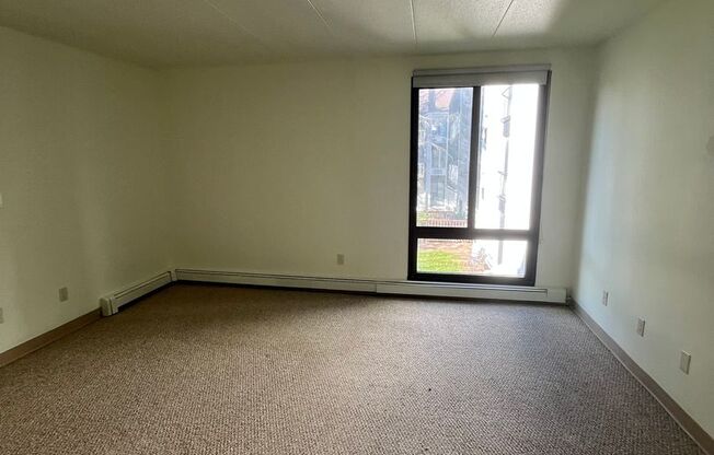 1 bed, 1 bath, 750 sqft, $1,095, Unit 203E