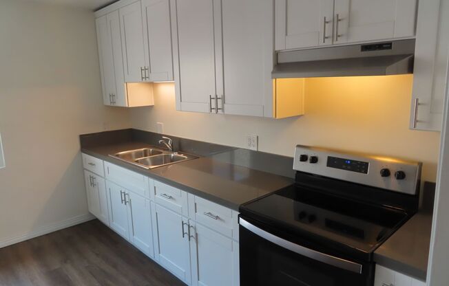 Renovated Two Bedroom Apartment in La Mesa