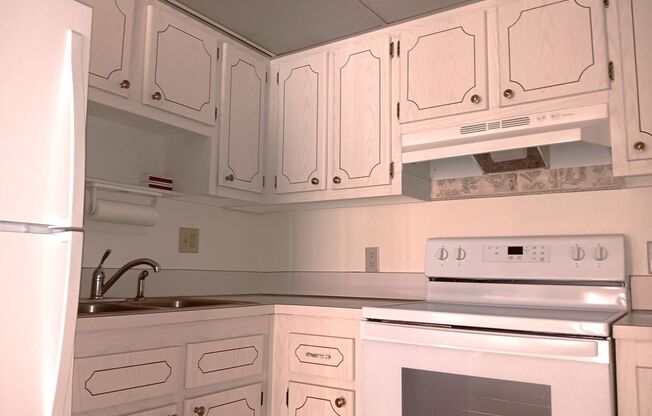 Spacious 2/2 apt, pristine bldg, near 4th St services, shopping & downtown