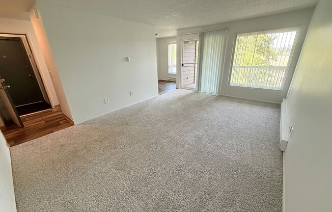 View at the Lake I | New Management + Specials | Patio, Parking & On-Site Laundry
