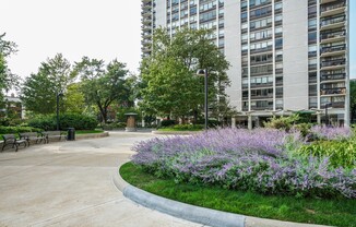 Nice 1 bedroom Condo in Gold Coast/Old Town