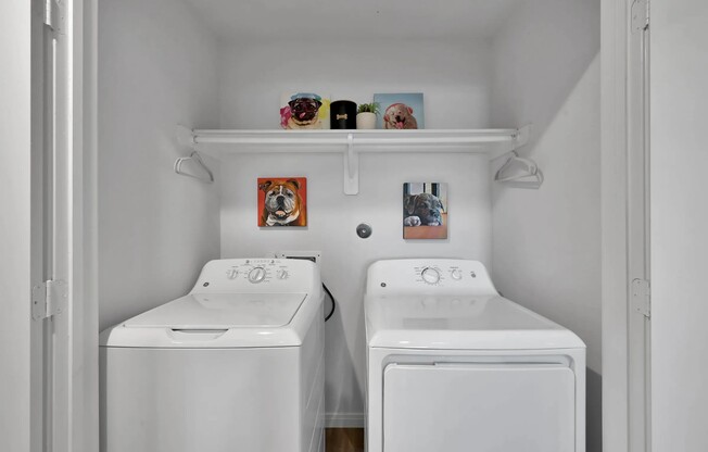 Explore the convenience of in-home laundry at Esperanza at Wild Orchid. Our modern units feature spacious washers and dryers, designed to make daily chores effortless. Elevate your living experience today-schedule a tour now!