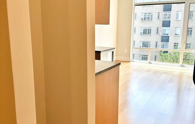 1 bed, 1 bath, $2,725, Unit 205