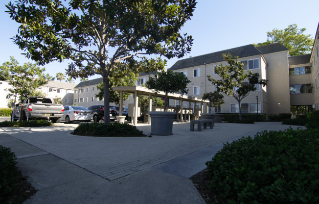 A tree in a courtyard with a building in the background.