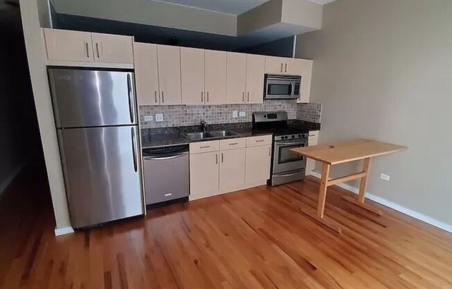 South Loop 1 Bedroom with Huge Balcony and Great Views