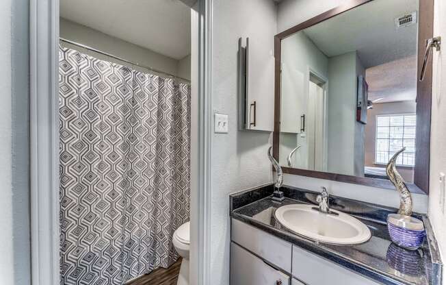 a bathroom with a sink and a shower and a toilet