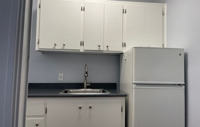 Studio, 1 bath, 240 sqft, $1,255, Unit 102