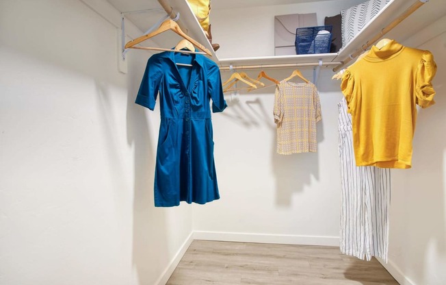 Generous Walk-In Closets With Shelving at Presidio Palms Apartments, Tucson, AZ, Arizona , 85701